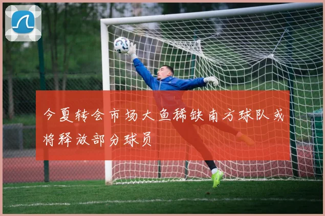 今夏转会市场大鱼稀缺南方球队或将释放部分球员
