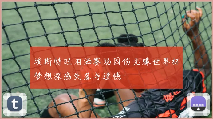 埃斯特旺泪洒赛场因伤无缘世界杯梦想深感失落与遗憾